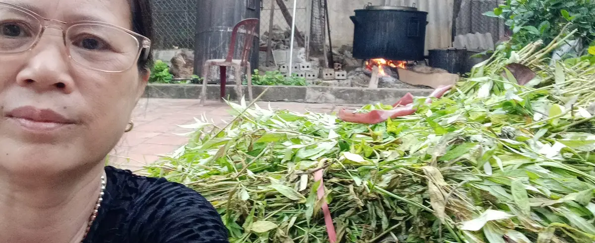 Sản phẩm cao thảo dược cô Ái