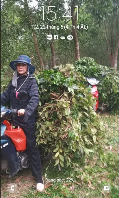 Nấu cao thảo dược thủ công